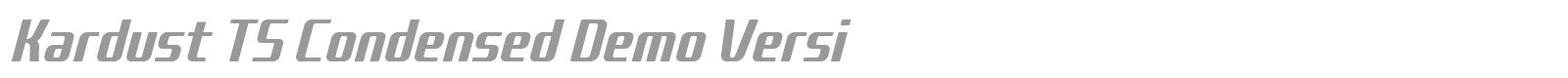 Kardust TS font preview
